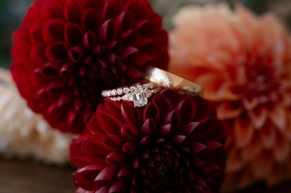 Diamond engagement ring and gold wedding band resting on deep red and coral dahlia flowers.
