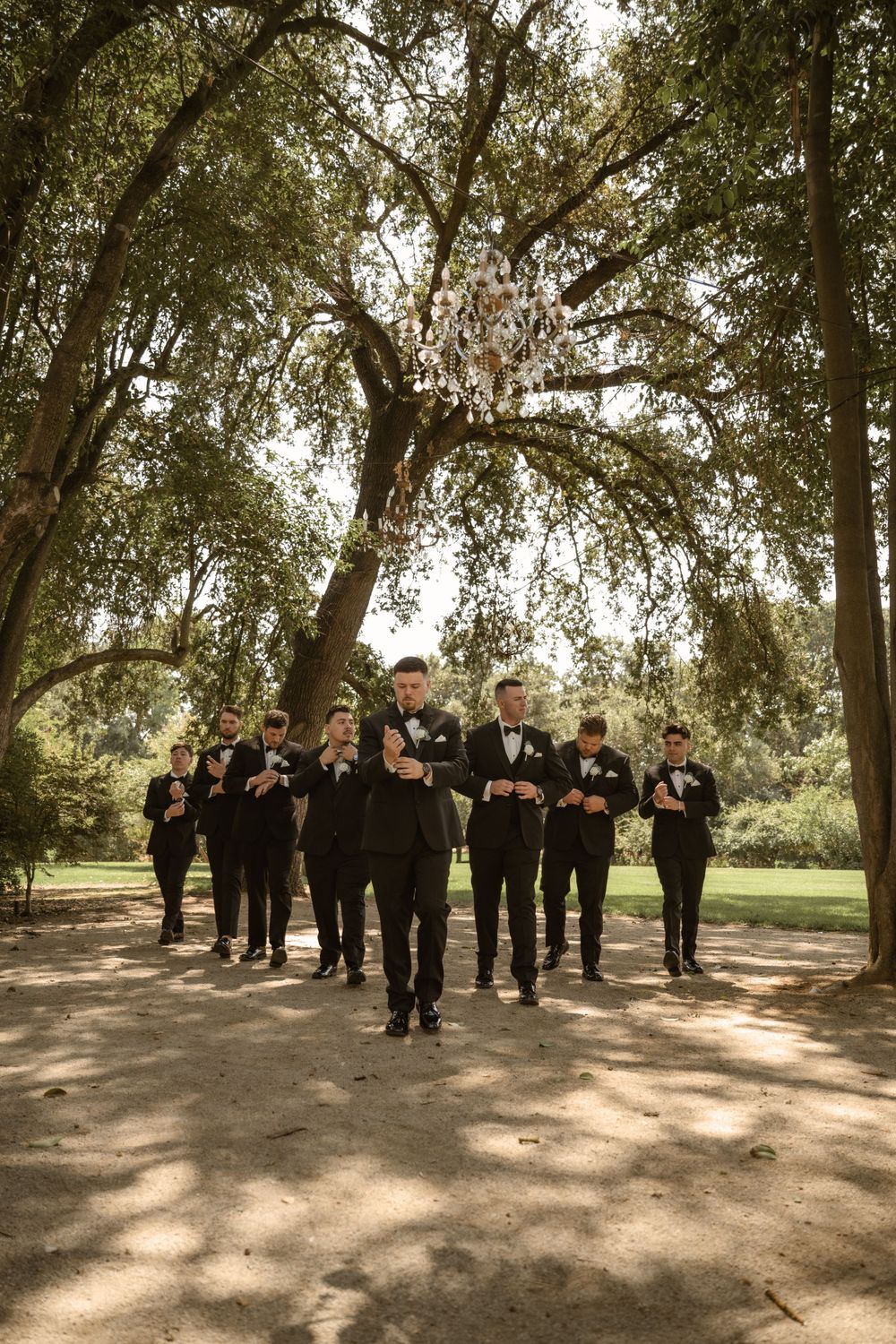 Full wedding party in black tuxedos gathered for group photo under tree-lined path.