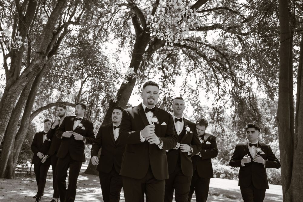 Wedding party in formal attire arranged in casual poses under shaded trees.