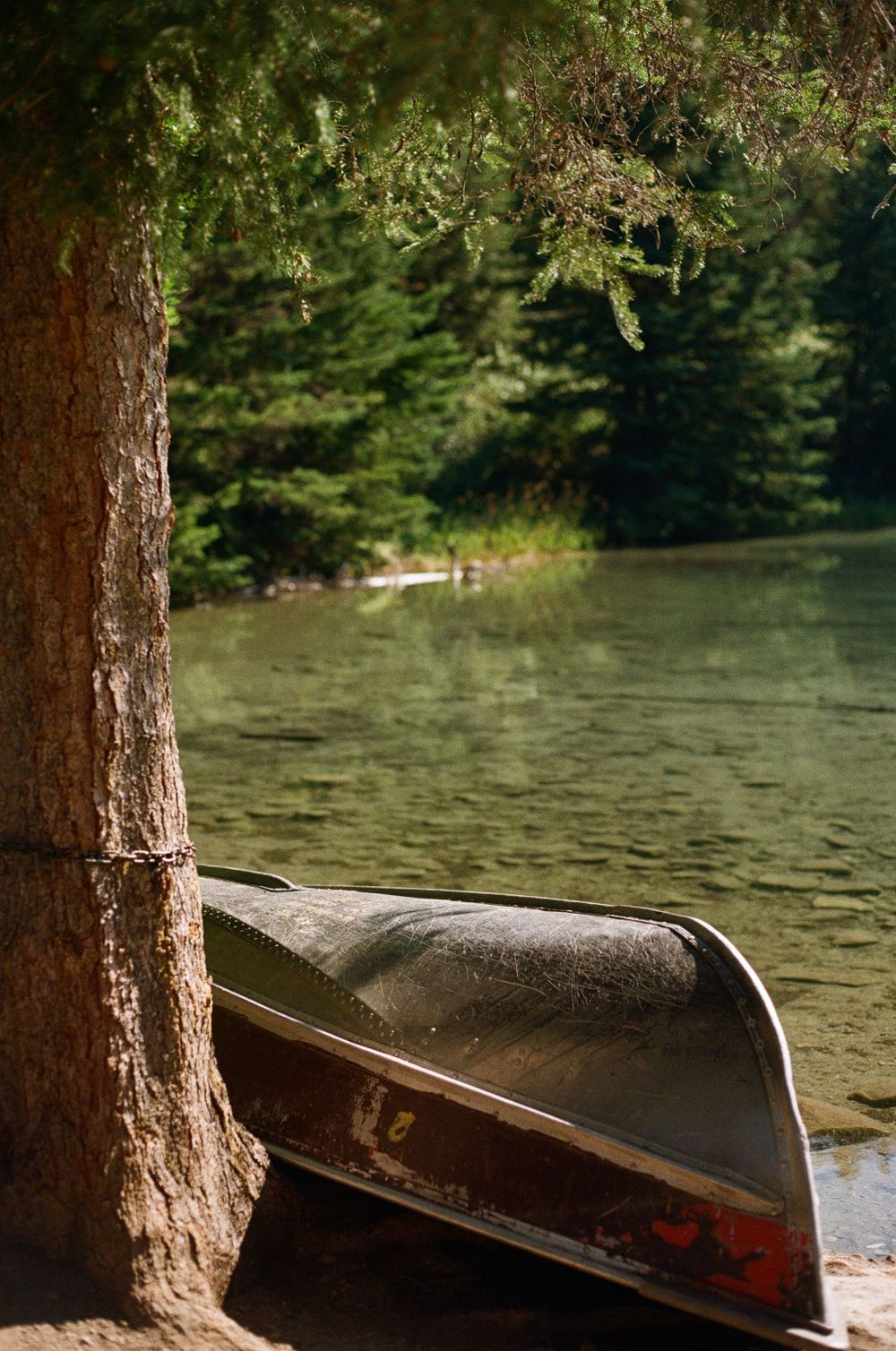 Abandoned canoe tied up to a tree on a lake in Banff Canada on film