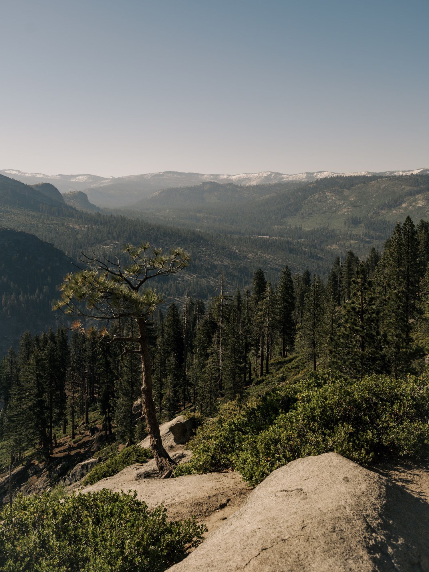 Scenic mountain vista with evergreen forest slope and rocky outcrops overlooking misty valleys in the distance.