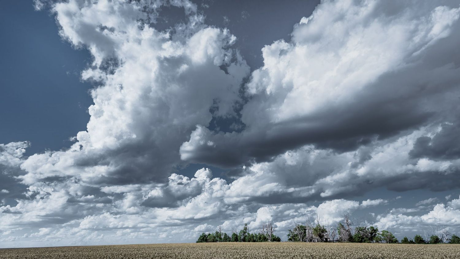 Dramatic cumulus clouds roll over agricultural fields on a summer day.