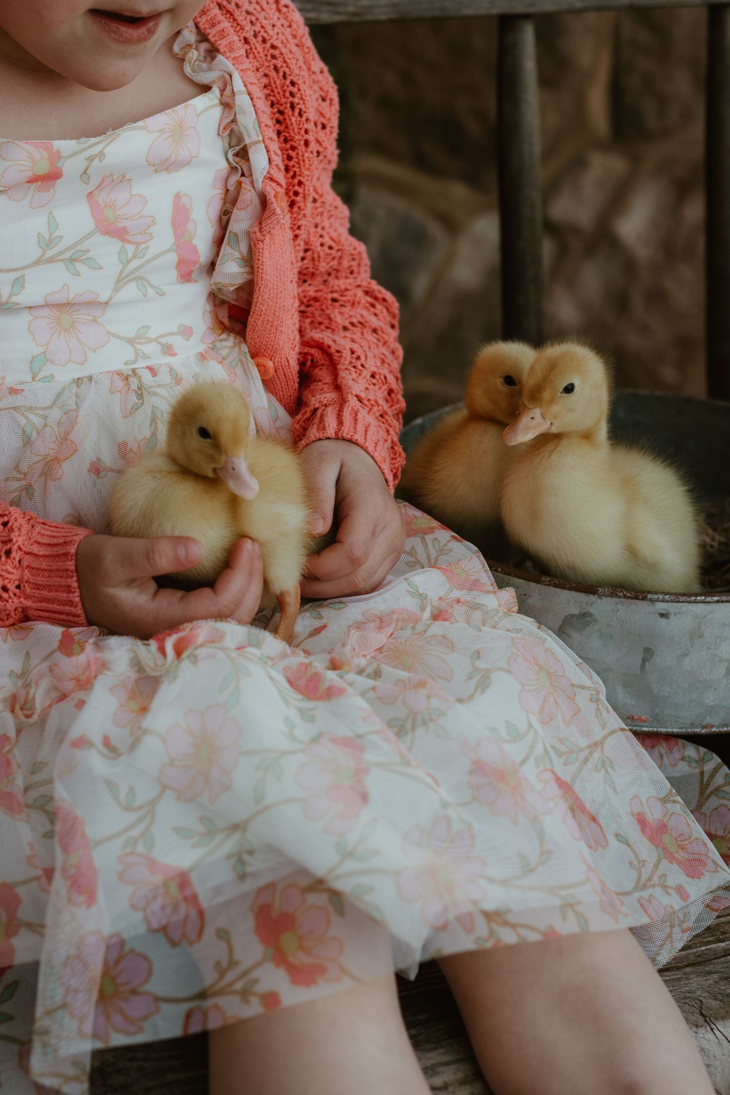 Easter Mini Session with Chicks