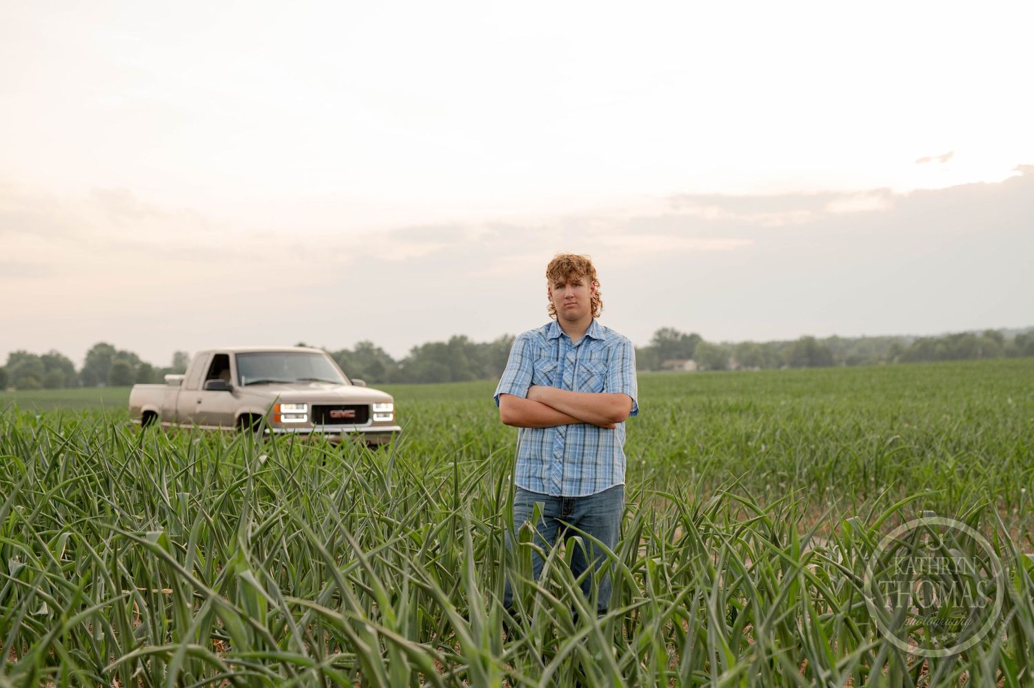 Person standing in tall cornfield with tan GMC pickup truck visible in background.