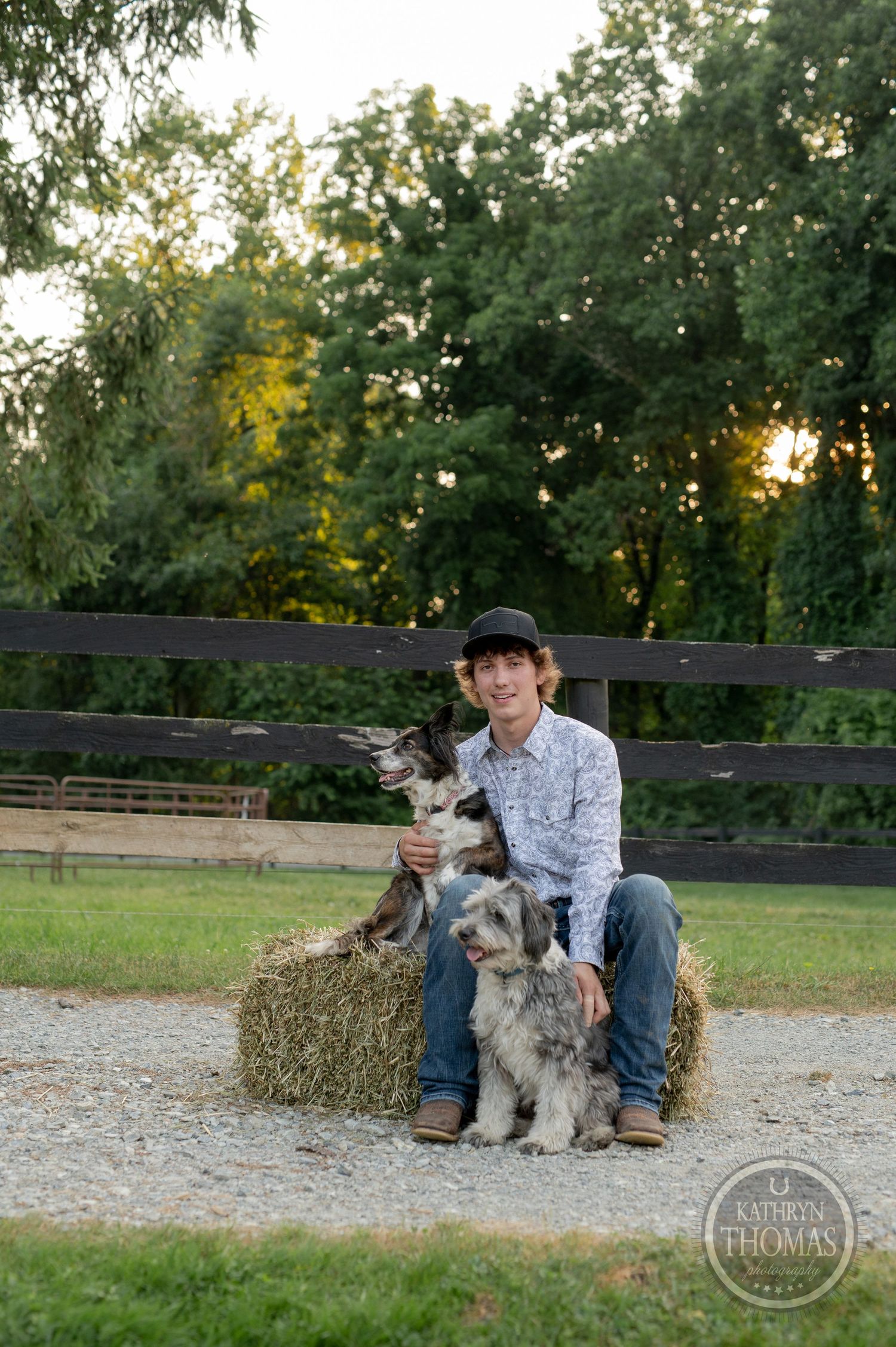 Two dogs sit with someone on a hay bale in a fenced farm area.