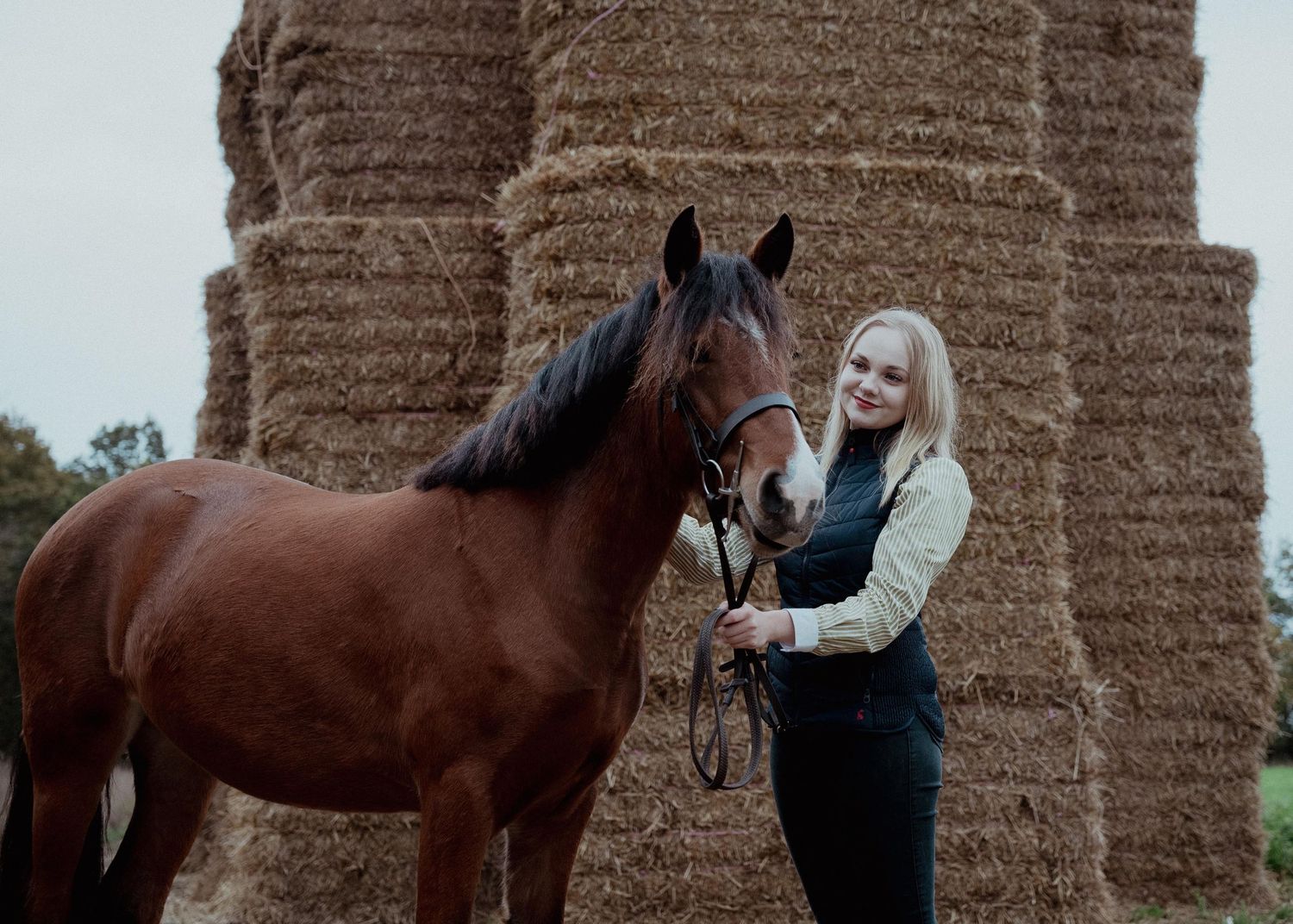 Equestrian photography in Cambridge