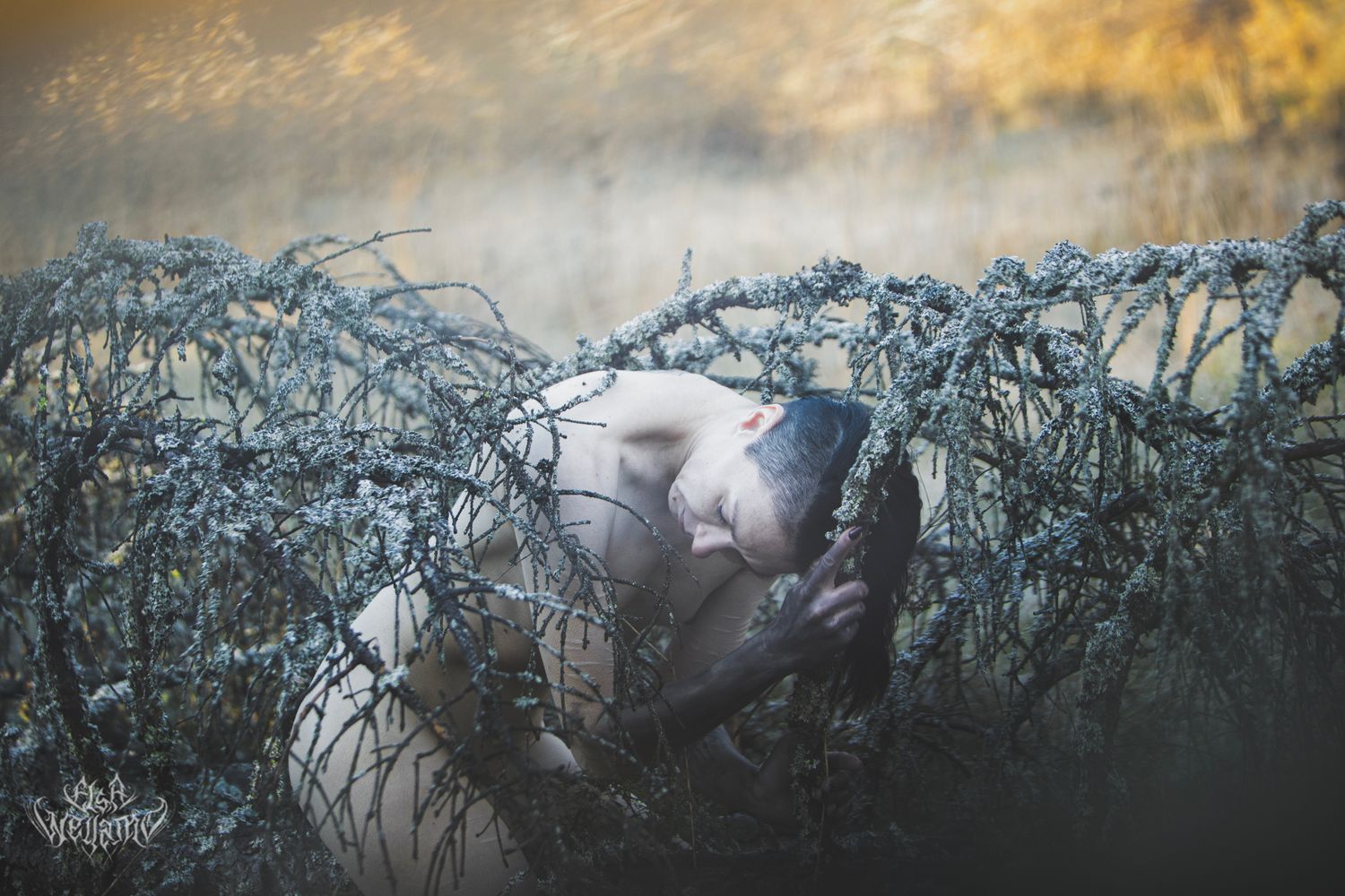 Ethereal artistic portrait among frosty winter branches at dusk with moody bokeh lighting in the background.