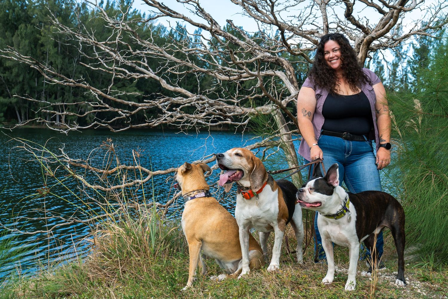 dogs, lake, tree