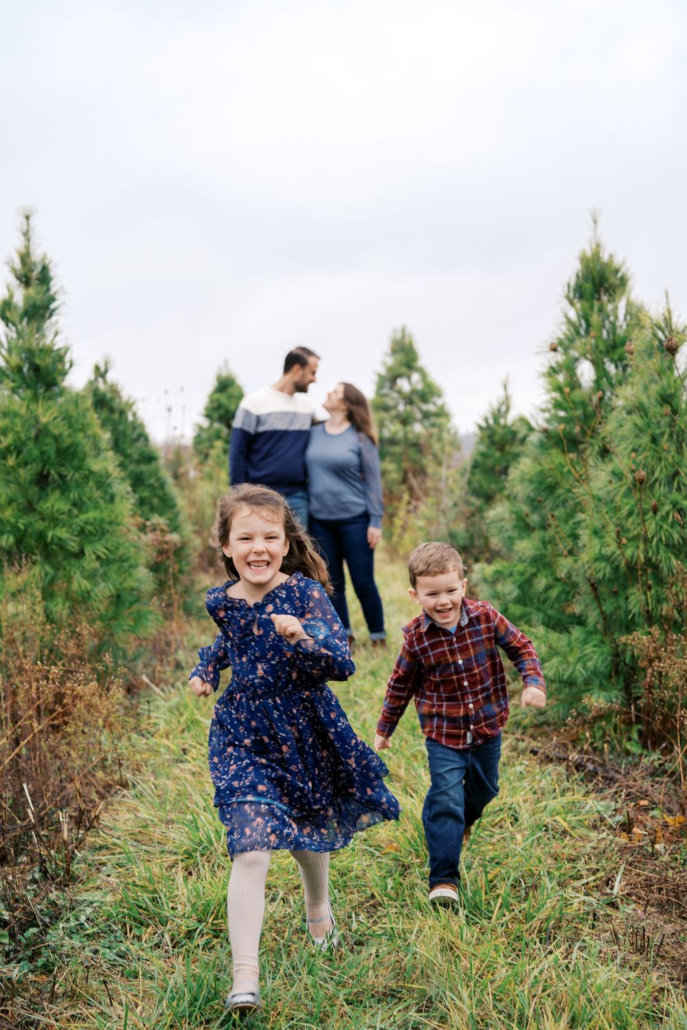 Children run playfully through rows of evergreen trees at a Christmas tree farm.
