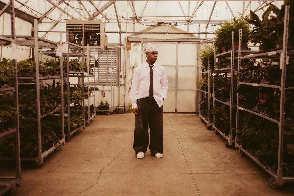 Long shelves with plants and trees stretch down a greenhouse walkway with natural light filtering through glass panels.