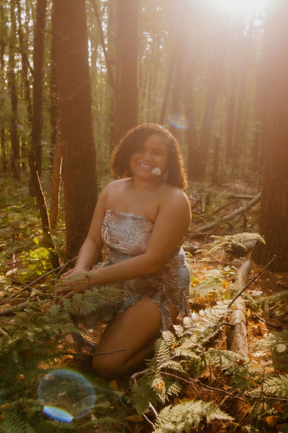Sunlit forest scene with golden light filtering through trees and ferns creating a dreamy woodland atmosphere.