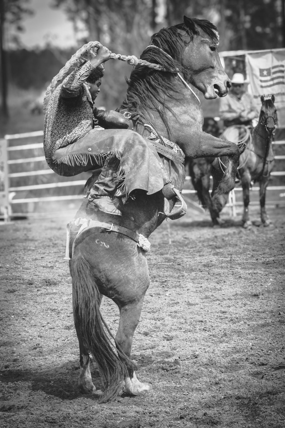 Black and white photos of bronc riding action at a rodeo.