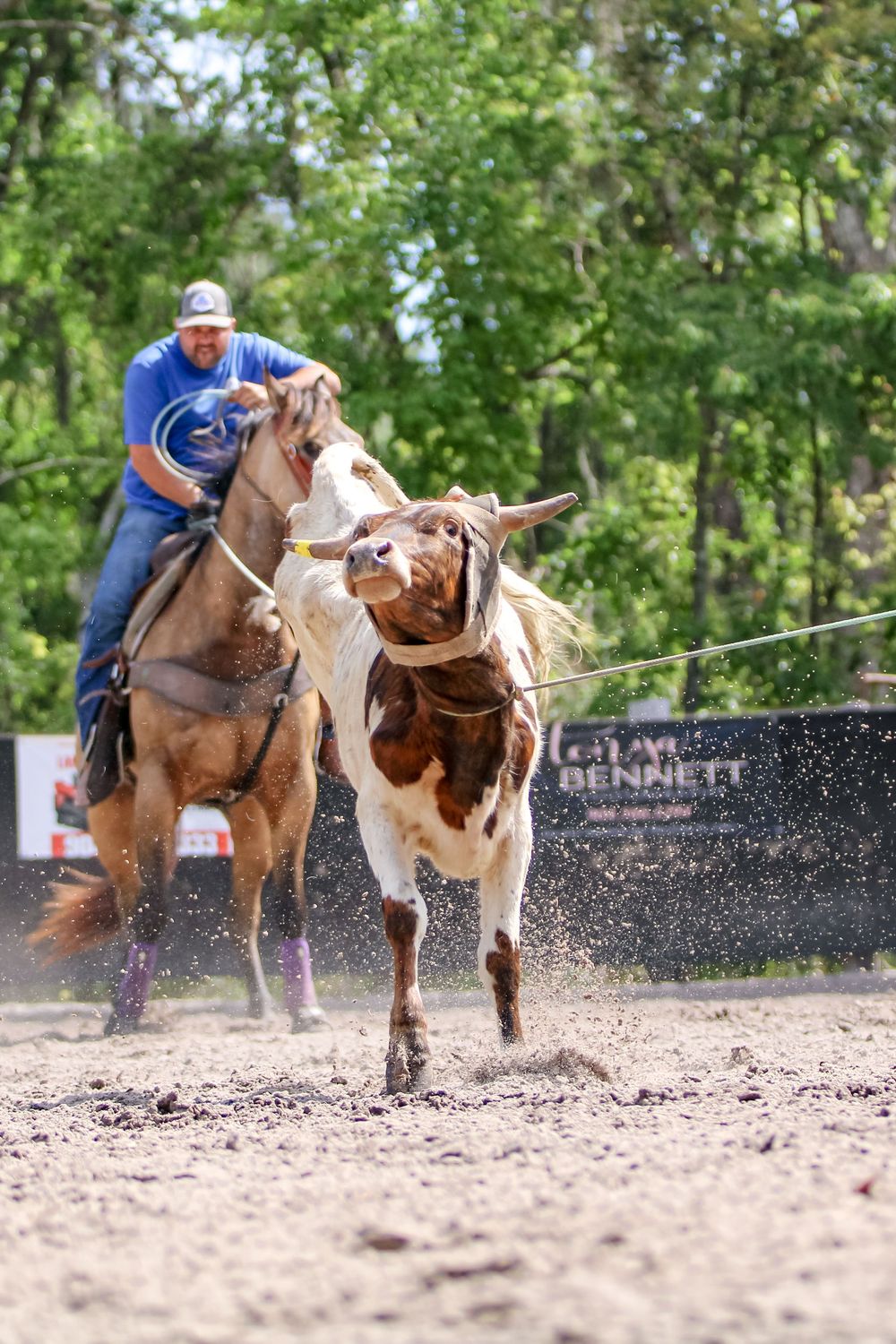 Buckskin horse and rider sprint through arena dirt during roping competition.