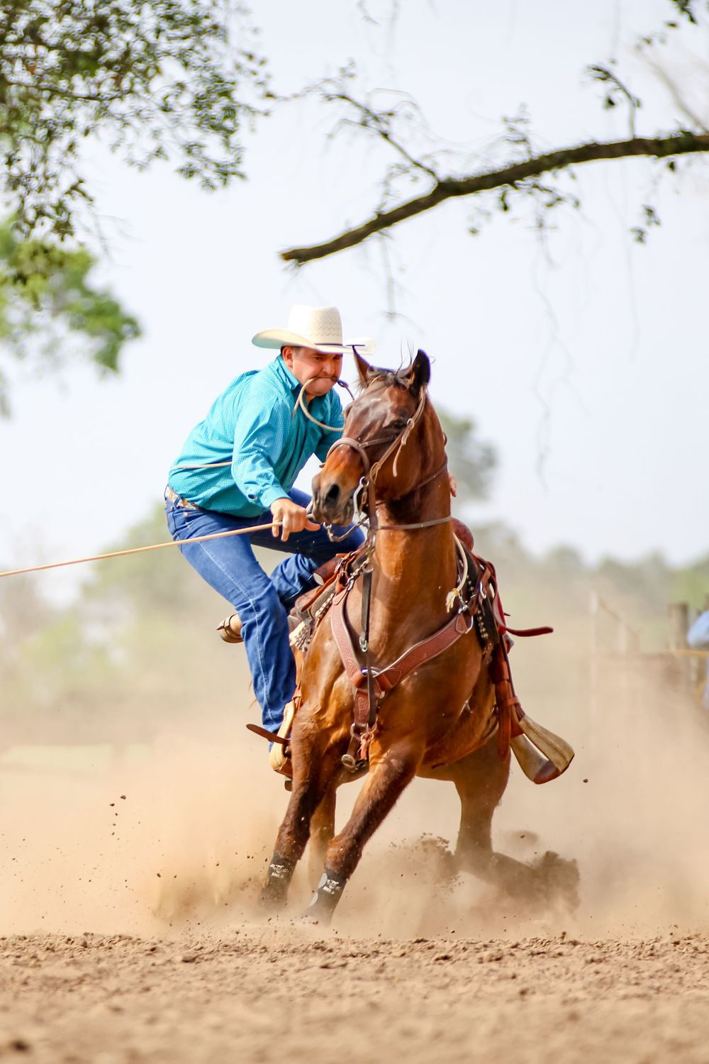 Horse and rider kick up dust while racing at high speed during a roping event