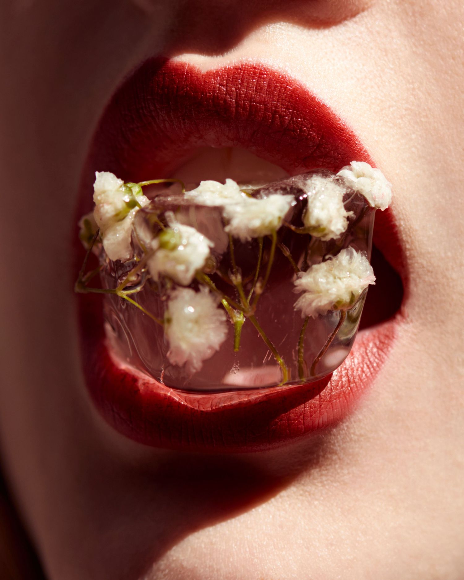 Close up of red lips holding small white flowers frozen in an ice cube against clear surface in artistic beauty shot.