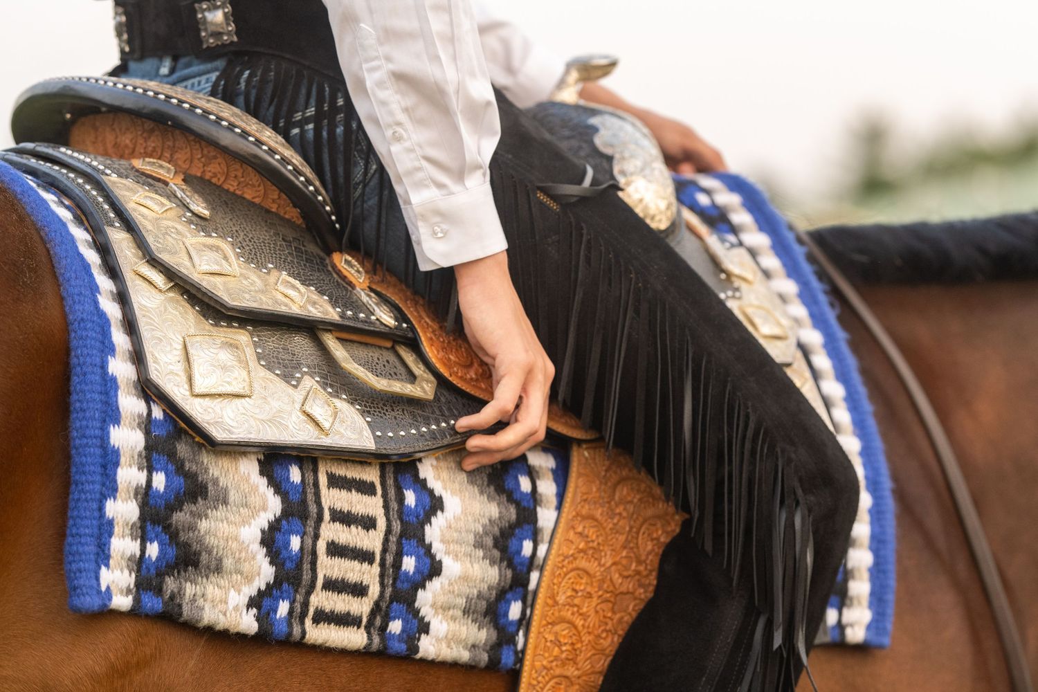 Western rider in black fringe chaps and white shirt competing in a horse show arena.