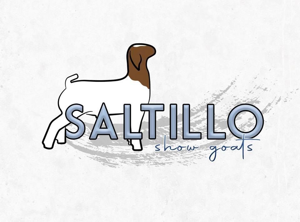 Minimalist logo designs featuring horse silhouettes in blue and gray tones.