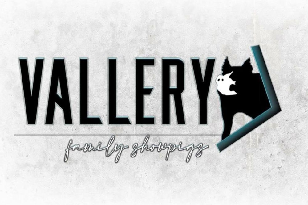 Multiple logo variations for Vallery featuring different fonts and graphic treatments.