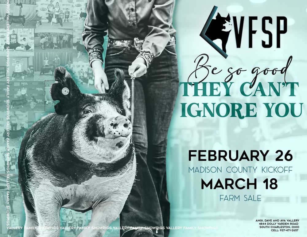 Vintage-style event poster collection featuring equestrian themes in teal and gray tones.