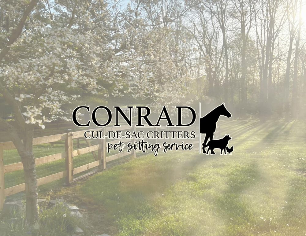 Scenic banner design showing a misty forest path with overlaid pet service branding.