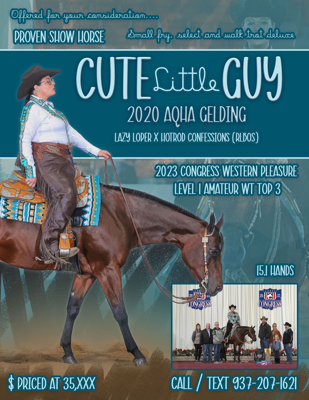 Horse show advertisement collage with competition photos and contact information.