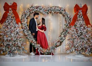 Festive Christmas photo setup with frosted trees, red bows, and twinkling fairy lights in background.
