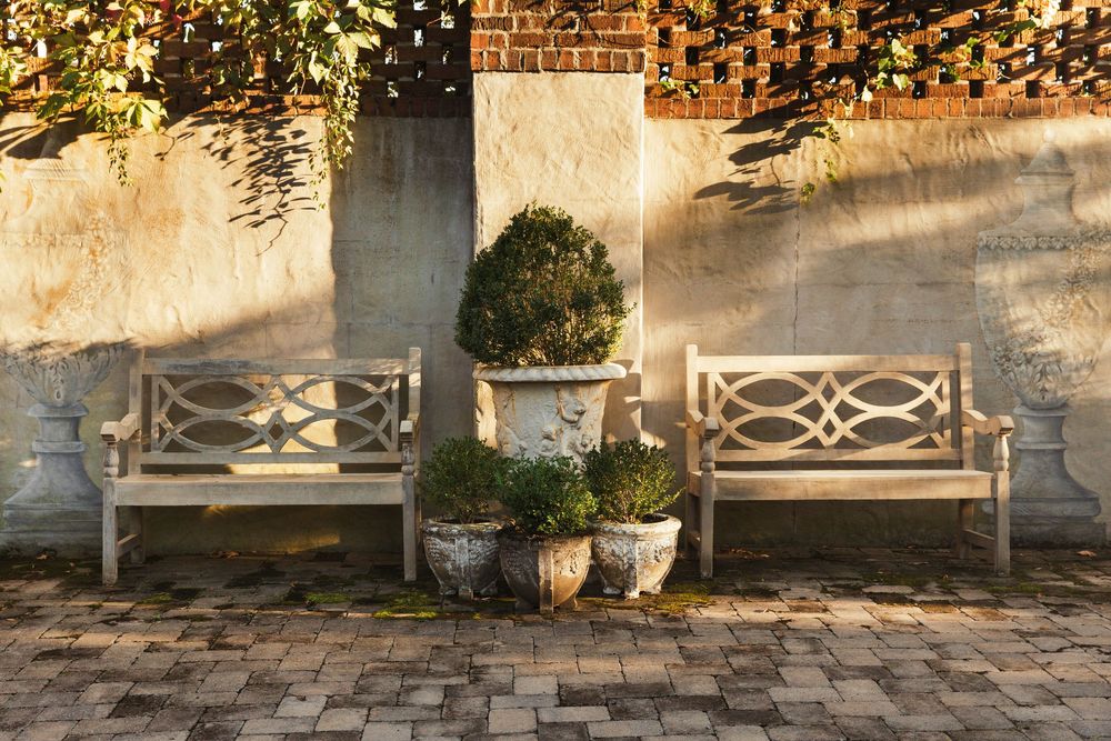 Warm sunlight cascades across the garden wall with two benches separated by one large and three small potted plants.