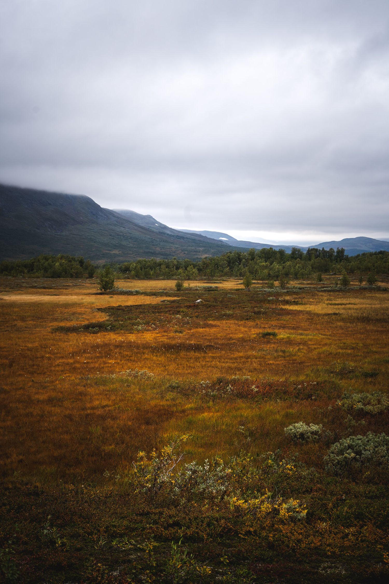 Tärnasjöarna, Vindelfjällen, Fotograf Alison De Mars, fin