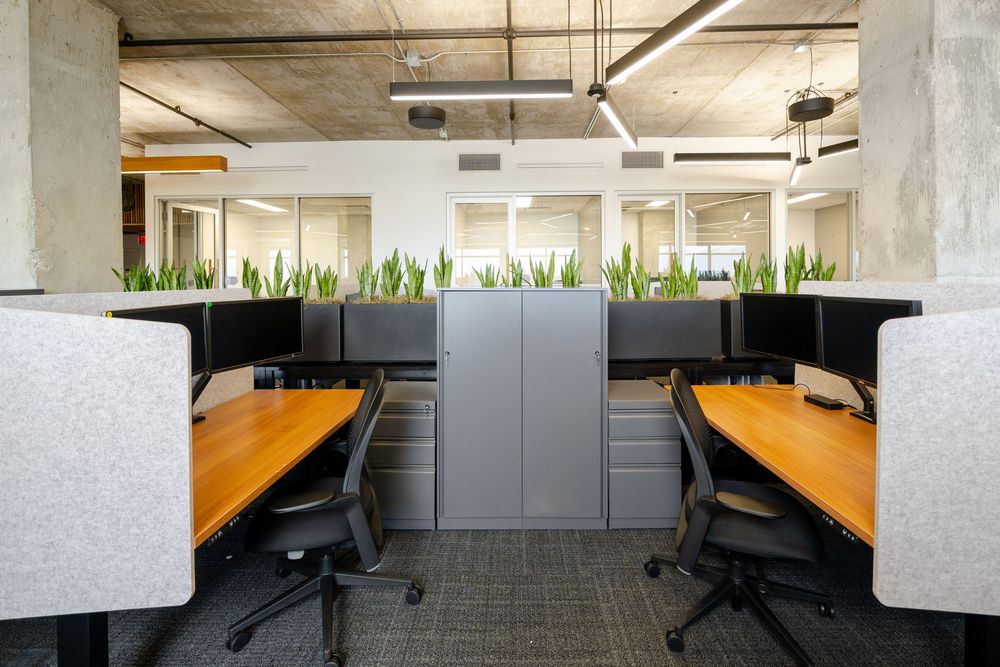 Modern open office workspace with orange desks, ergonomic chairs, gray cubicle dividers, and lush green plants along the back wall.