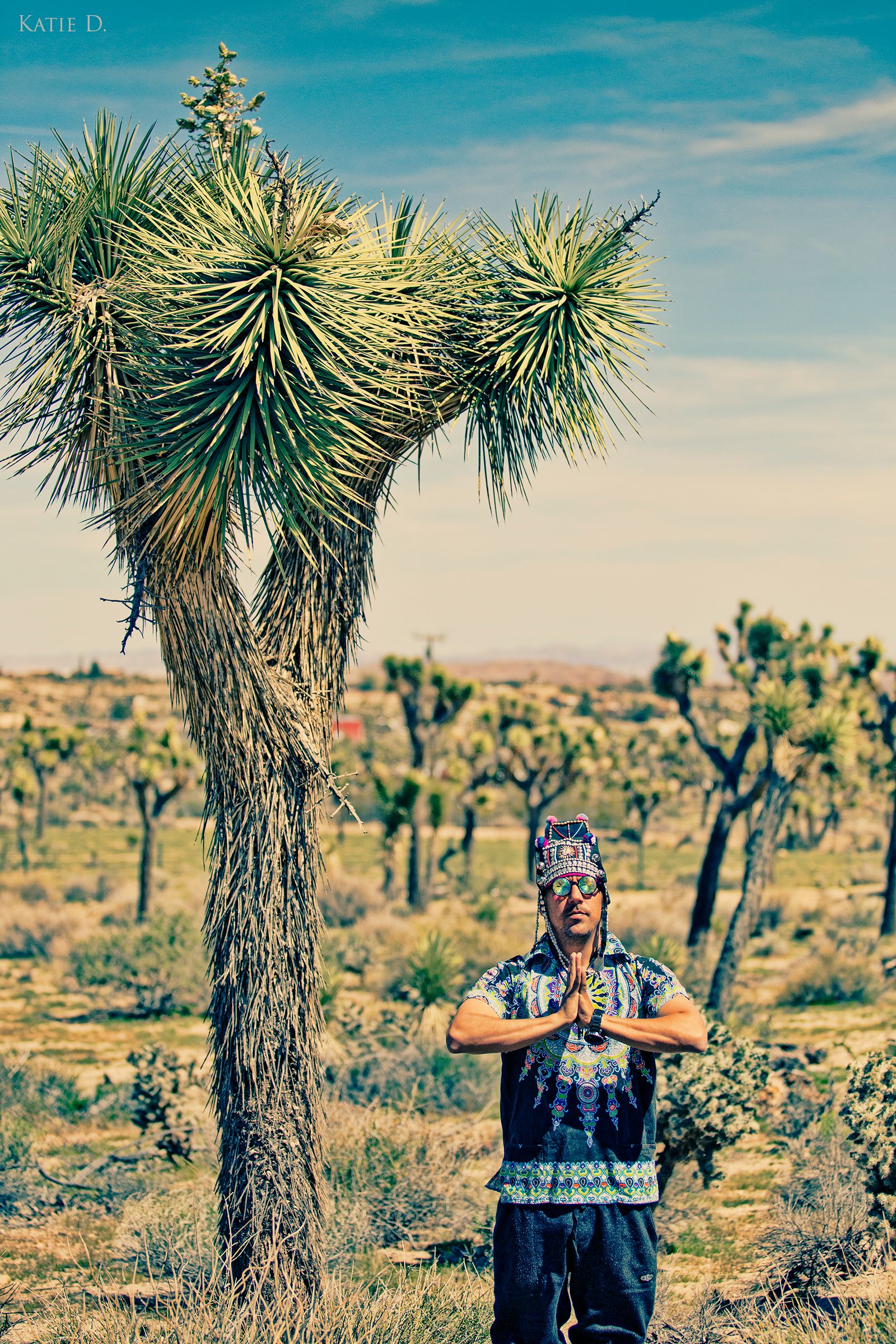 Man in patterned shirt meditates beside tall Joshua Tree in vast desert landscape.