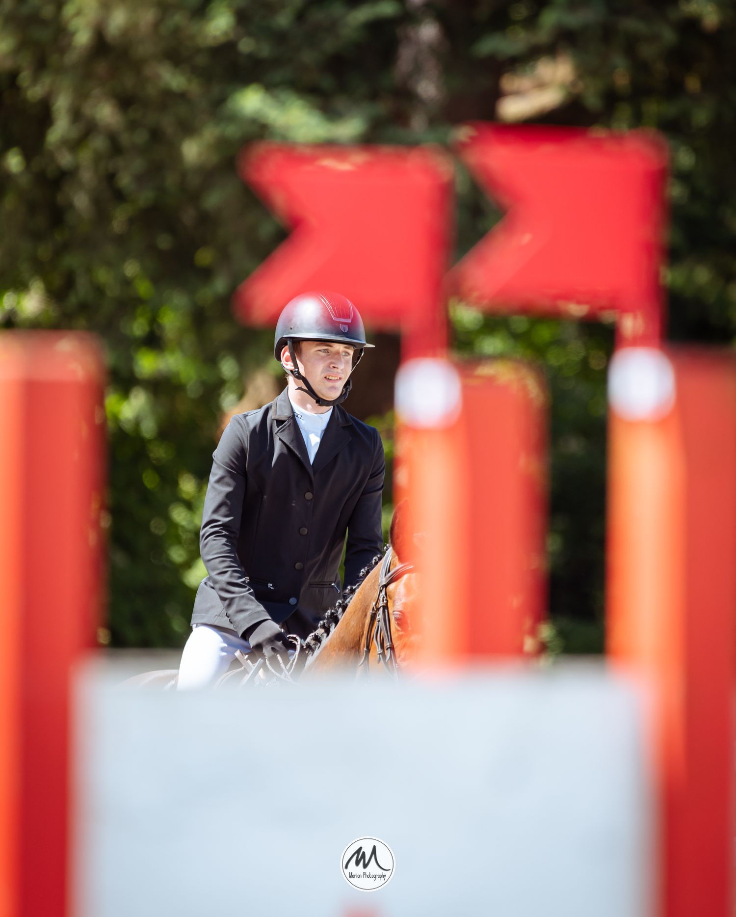 Equestrian rider in burgundy helmet jumping a chestnut horse over a cross-country fence surrounded by lush greenery.
