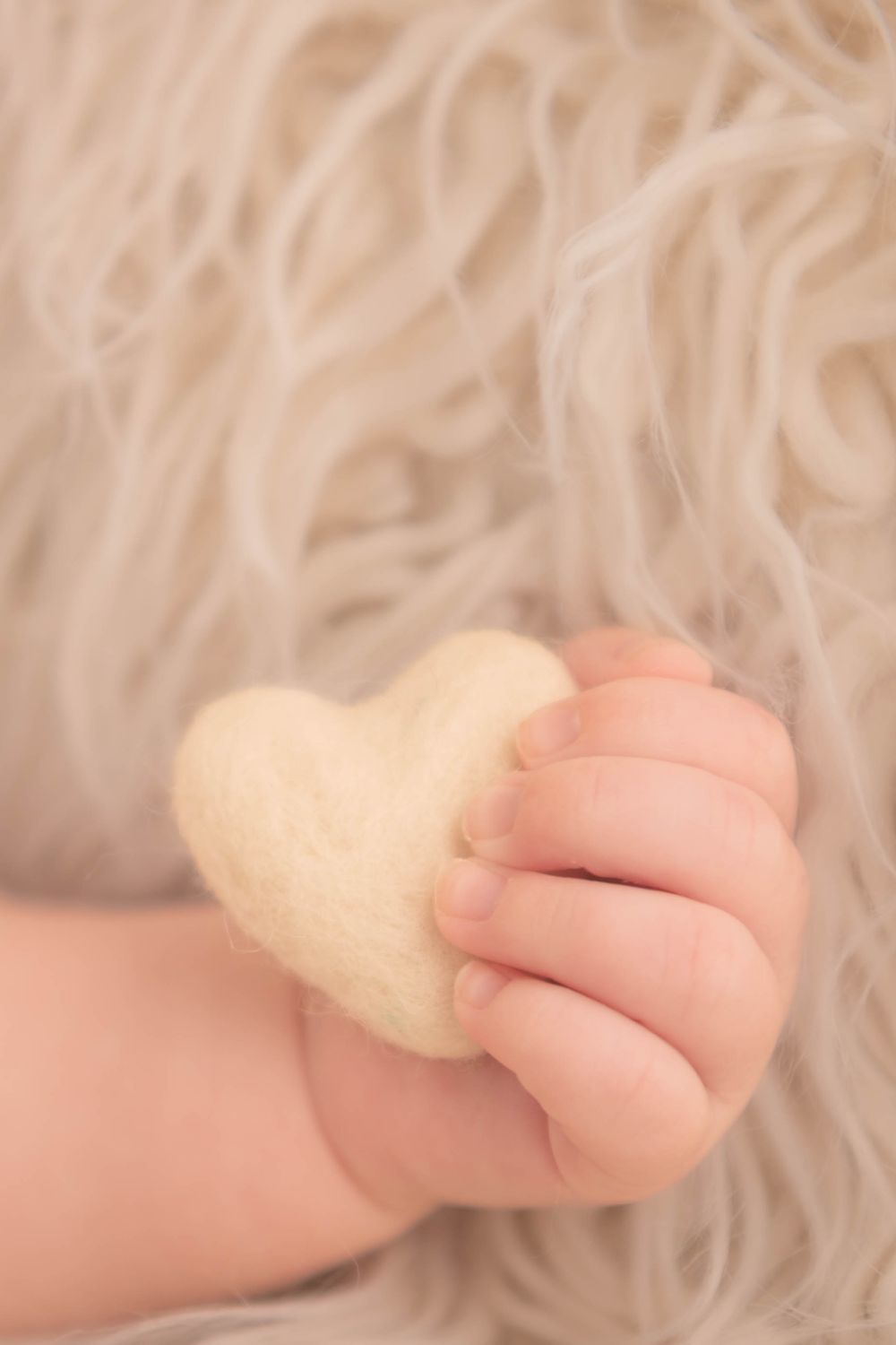 Tiny newborn baby hand gently holding a soft cream wool felt heart on a fluffy beige fur background. Newborn photography Blackwood, Wales