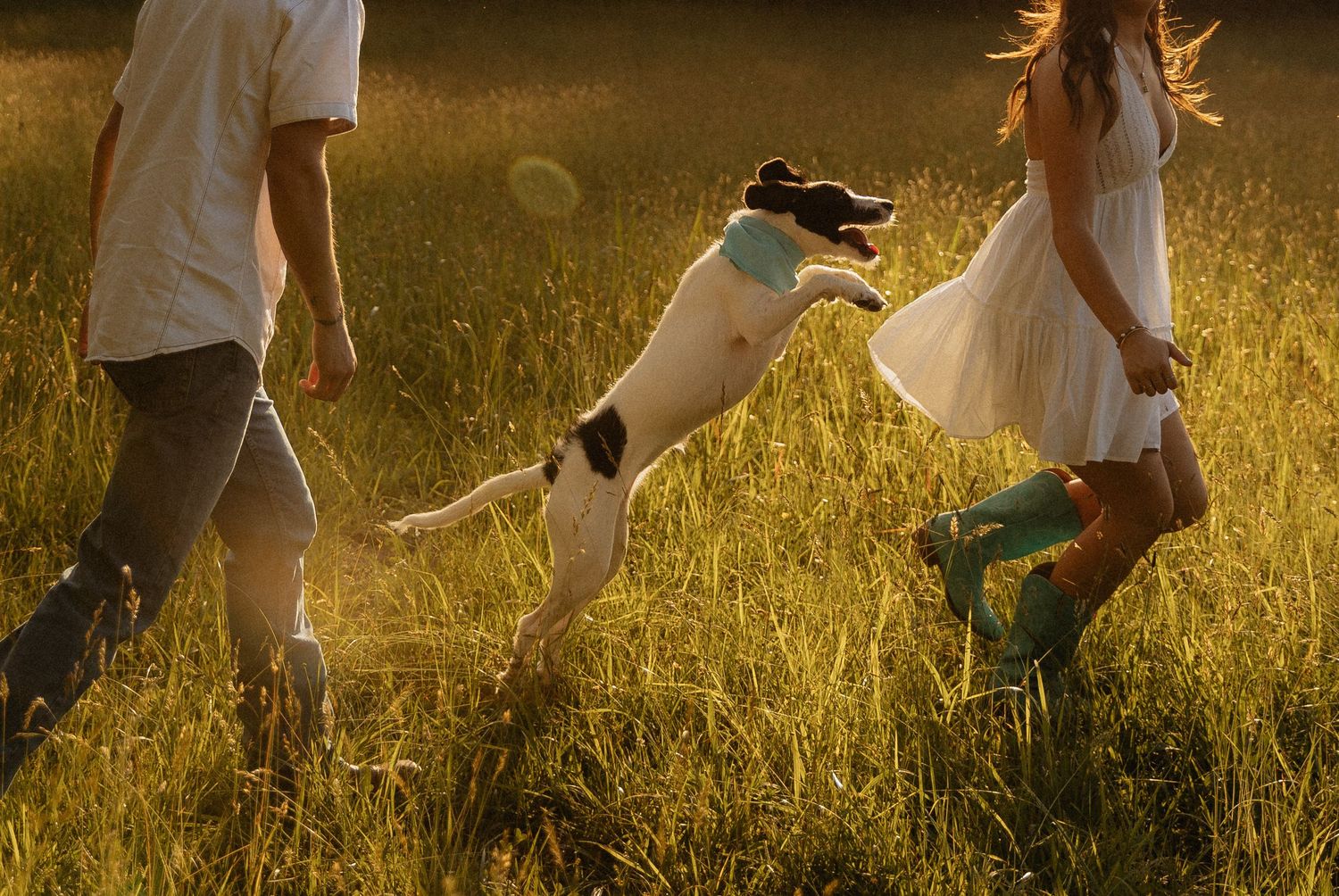 A playful dog jumps up between a couple walking through a sunlit golden grass field during a warm outdoor adventure.
