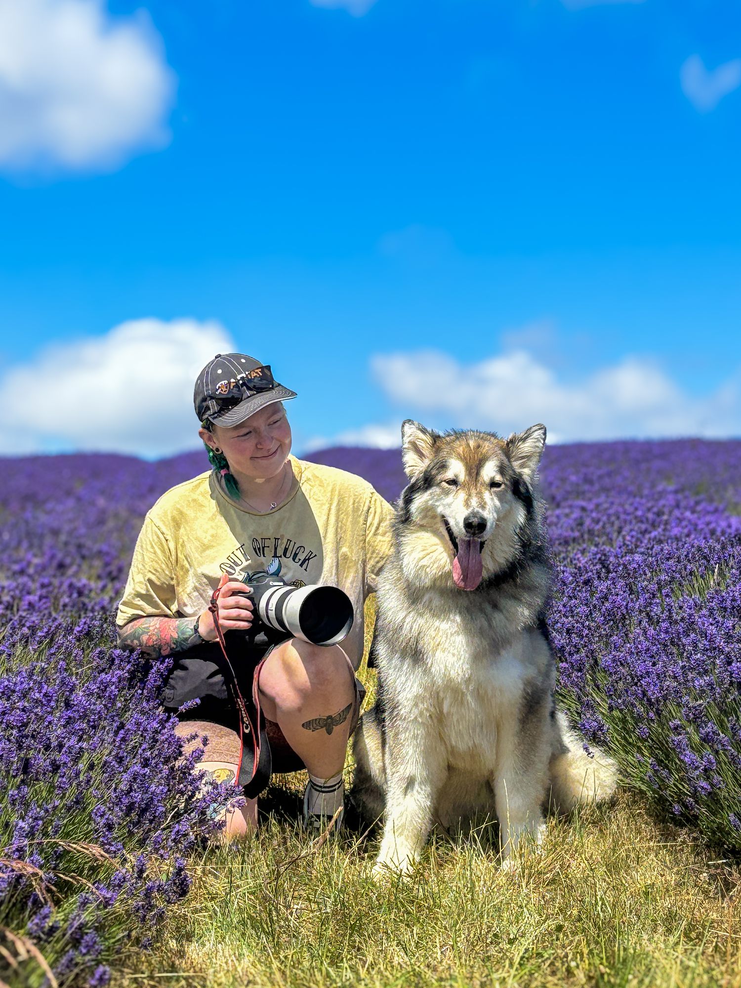 dog photography