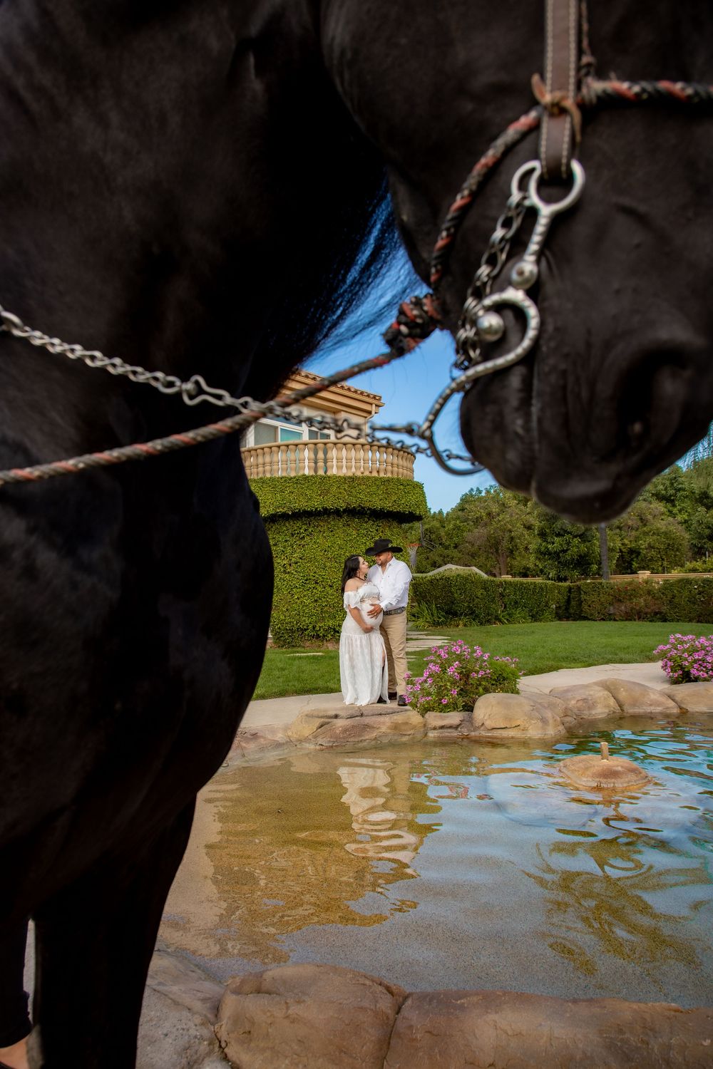 Couple embraces by a pool framed between a black horse in the foreground at an estate.