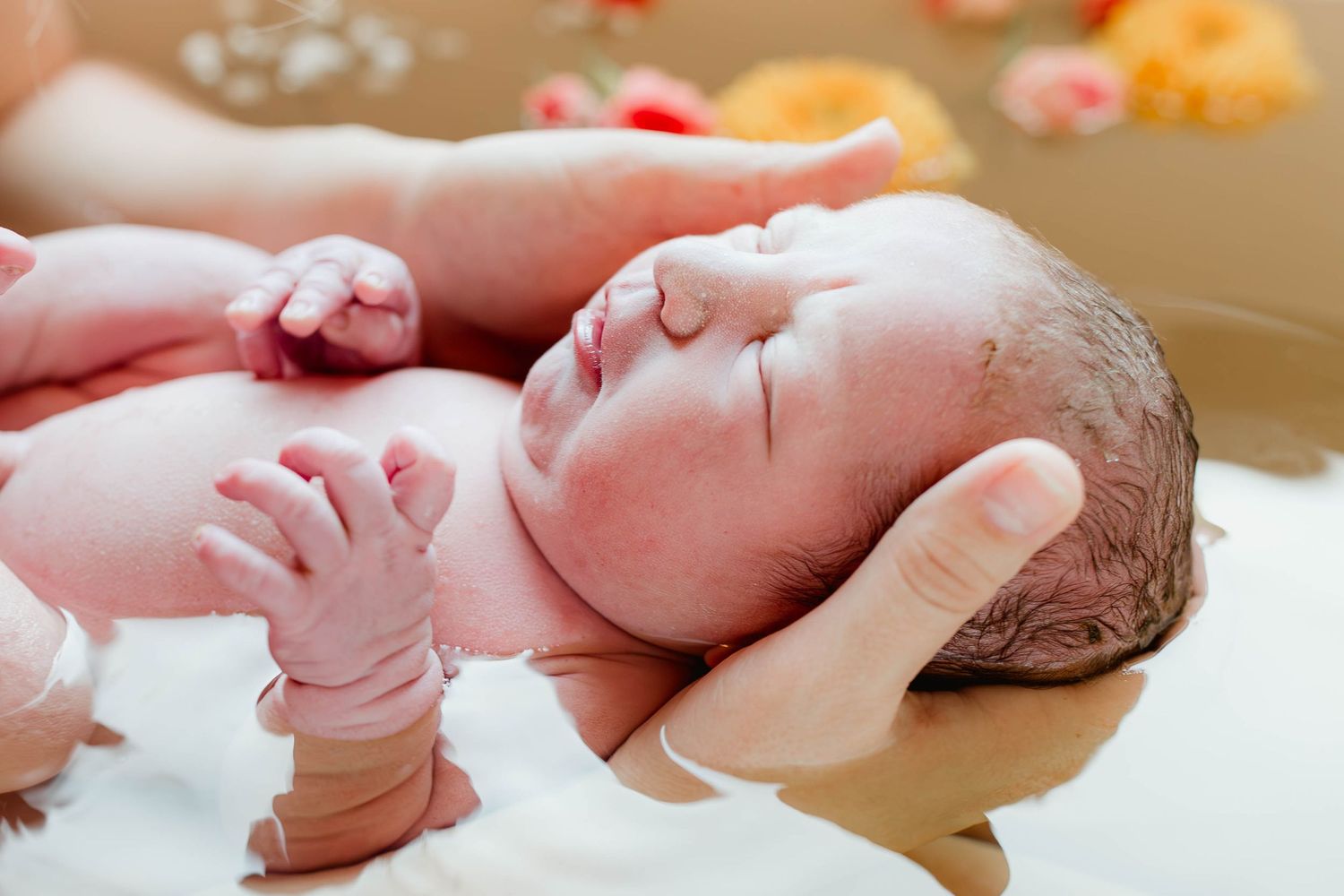 Newborn baby being gently supported by adult hands shortly after birth.