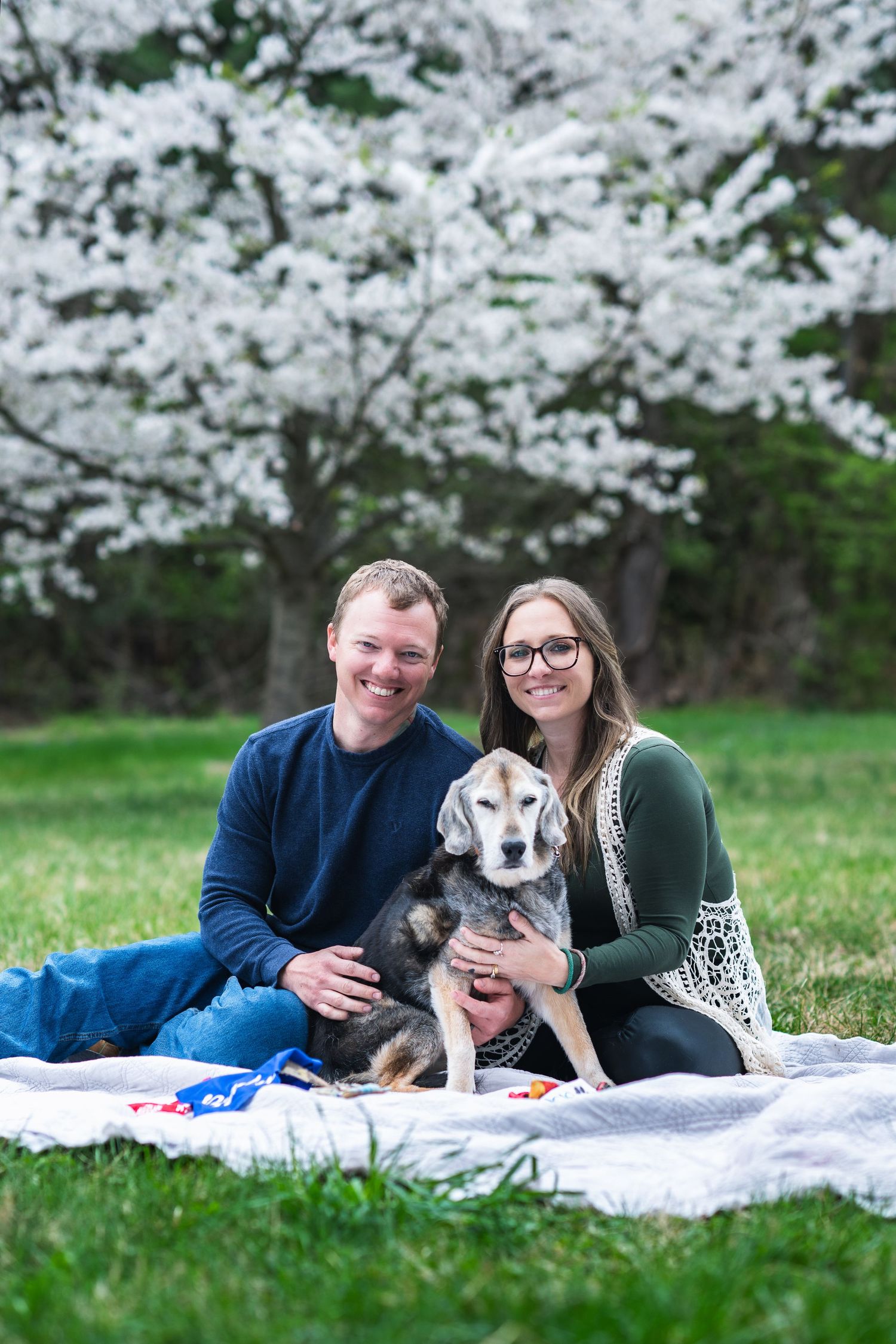 Couple sitting with their beagle dog on picnic blanket under blooming cherry blossom trees in spring.