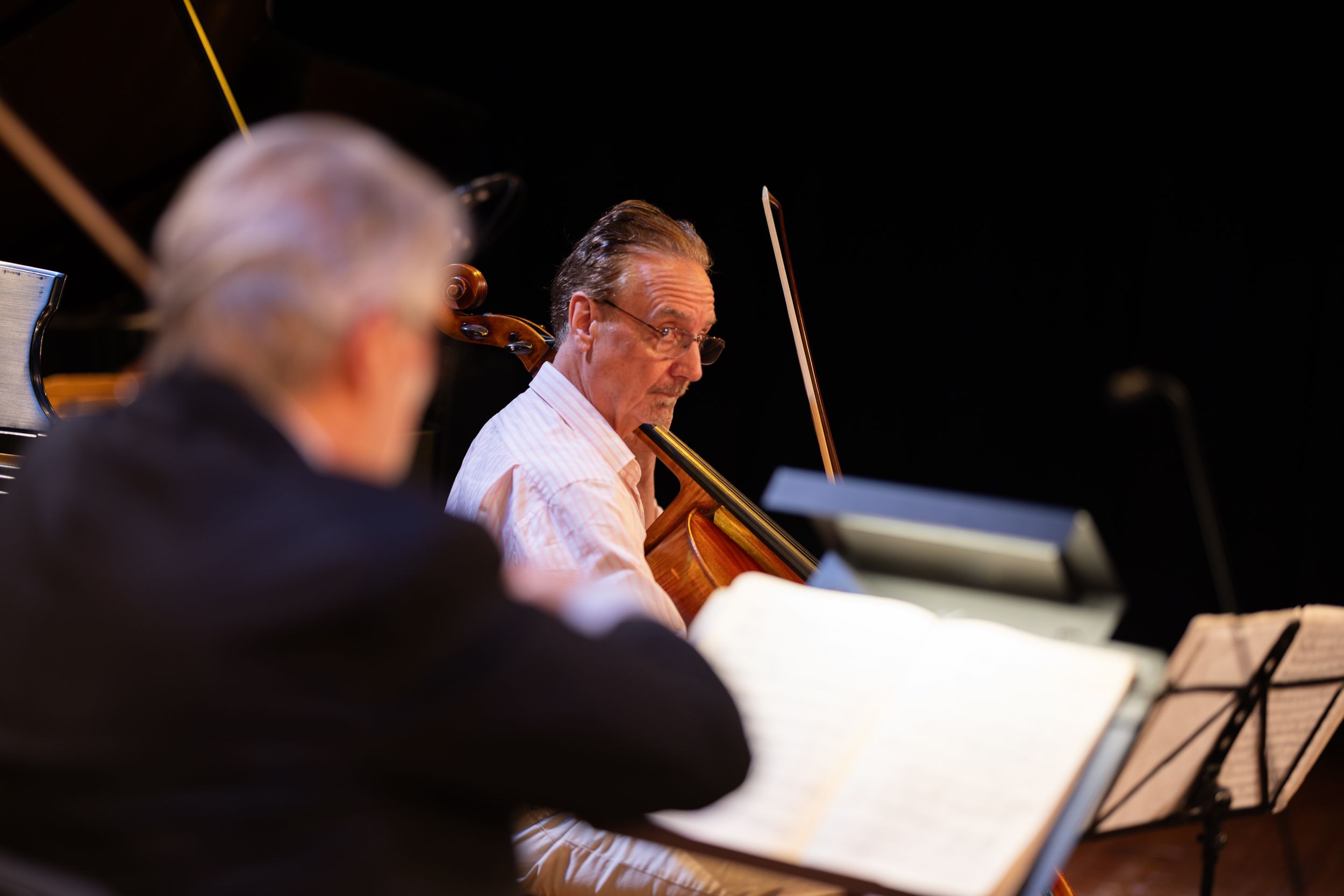 Musicians performing in a classical concert on darkened stage.