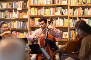 Musicians perform with string instruments against a backdrop of library bookshelves.