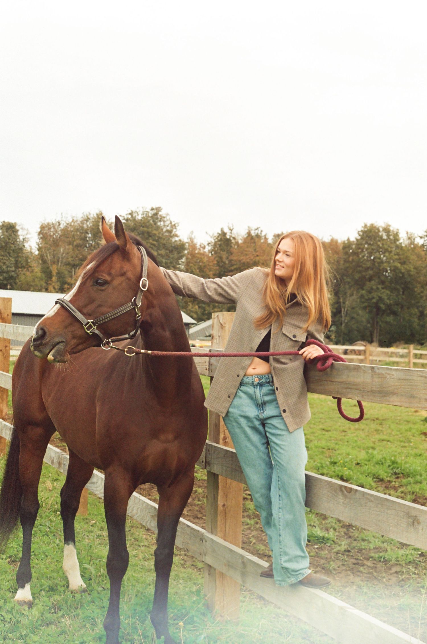 Vancouver Film Photographer. Horses. Country. Farm. Outdoorsy. Natural. Candid. Documentary Photographer