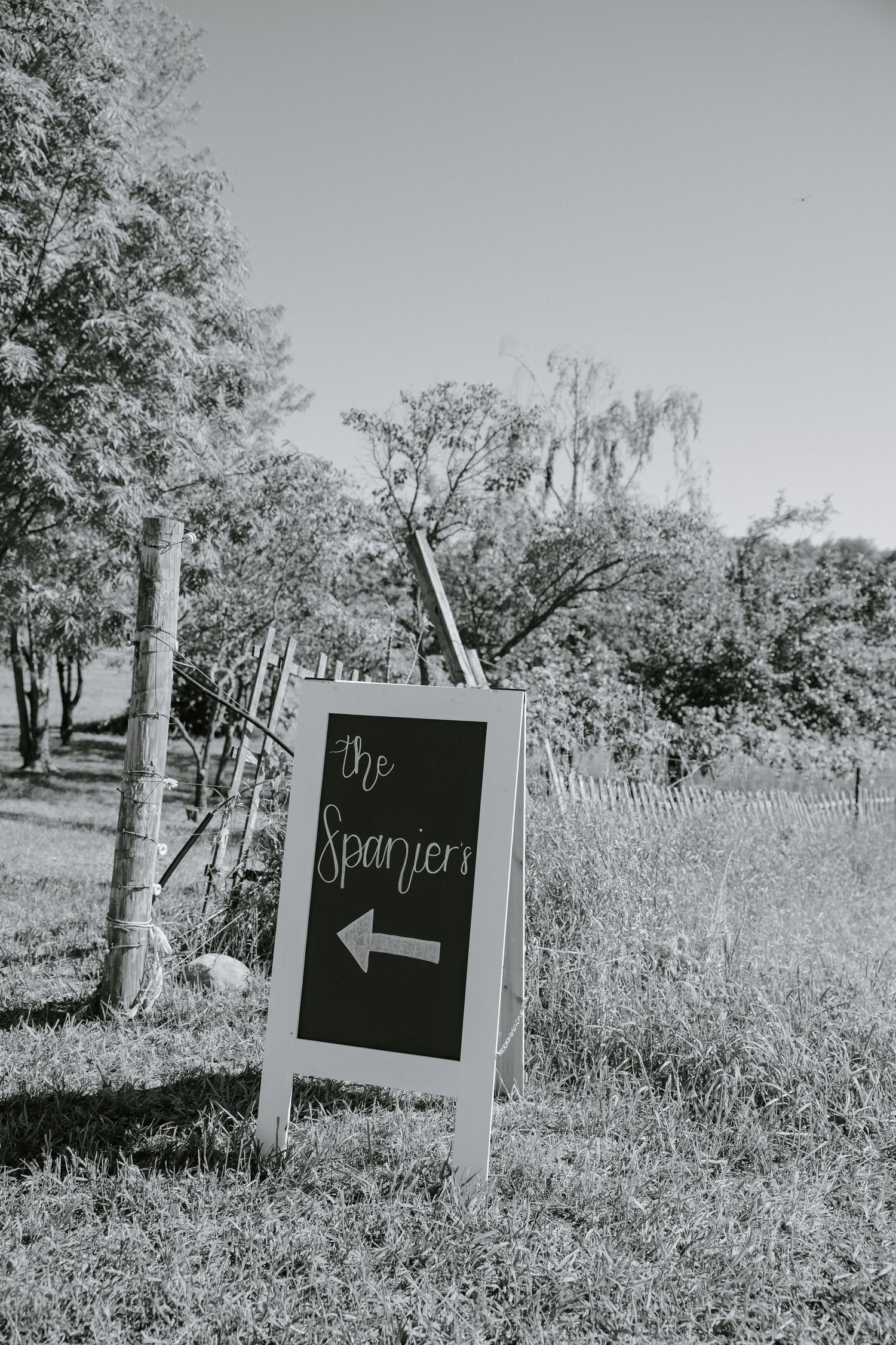 A black and white photo shows a chalkboard sign with an arrow pointing to the left, displayed in a rustic outdoor setting.