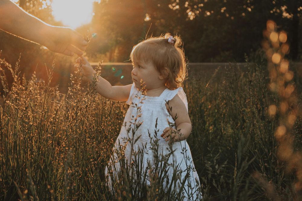 Toddler girl in white dress reaching for wildflowers in golden sunset field.