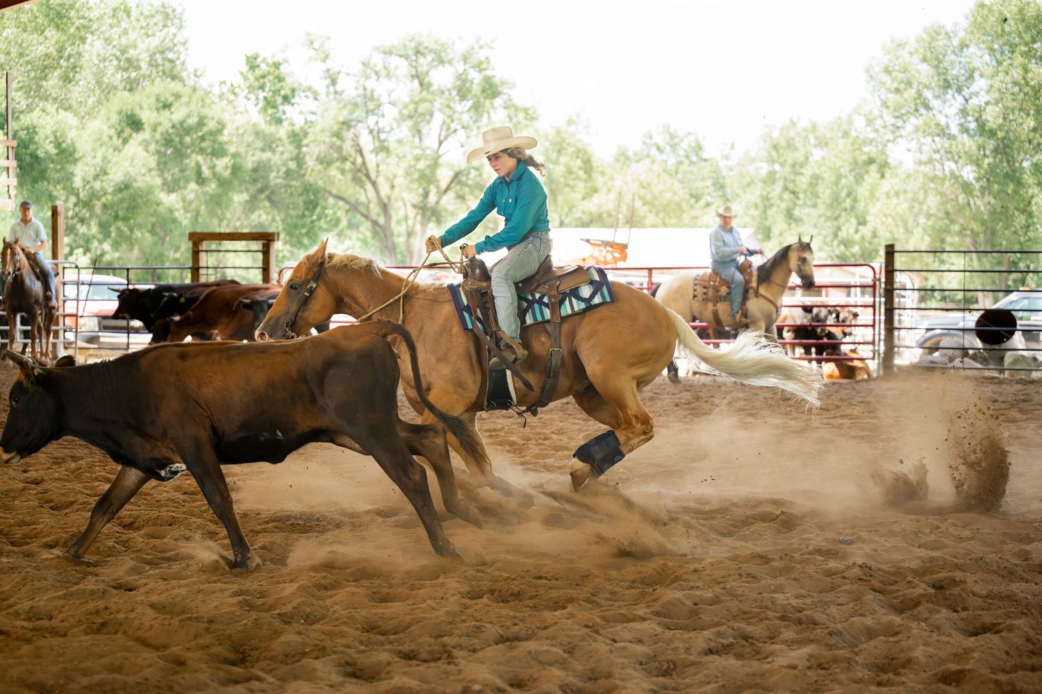 Dynamic rodeo scene with rider herding cattle in dusty arena.