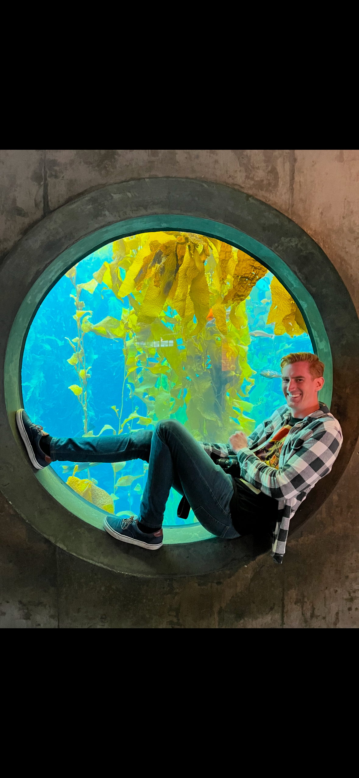 Man sitting in a circle window with a kelp forest in the background. Plaid shirt, jeans, Vans shoes. Bright blue ocean water green kelp