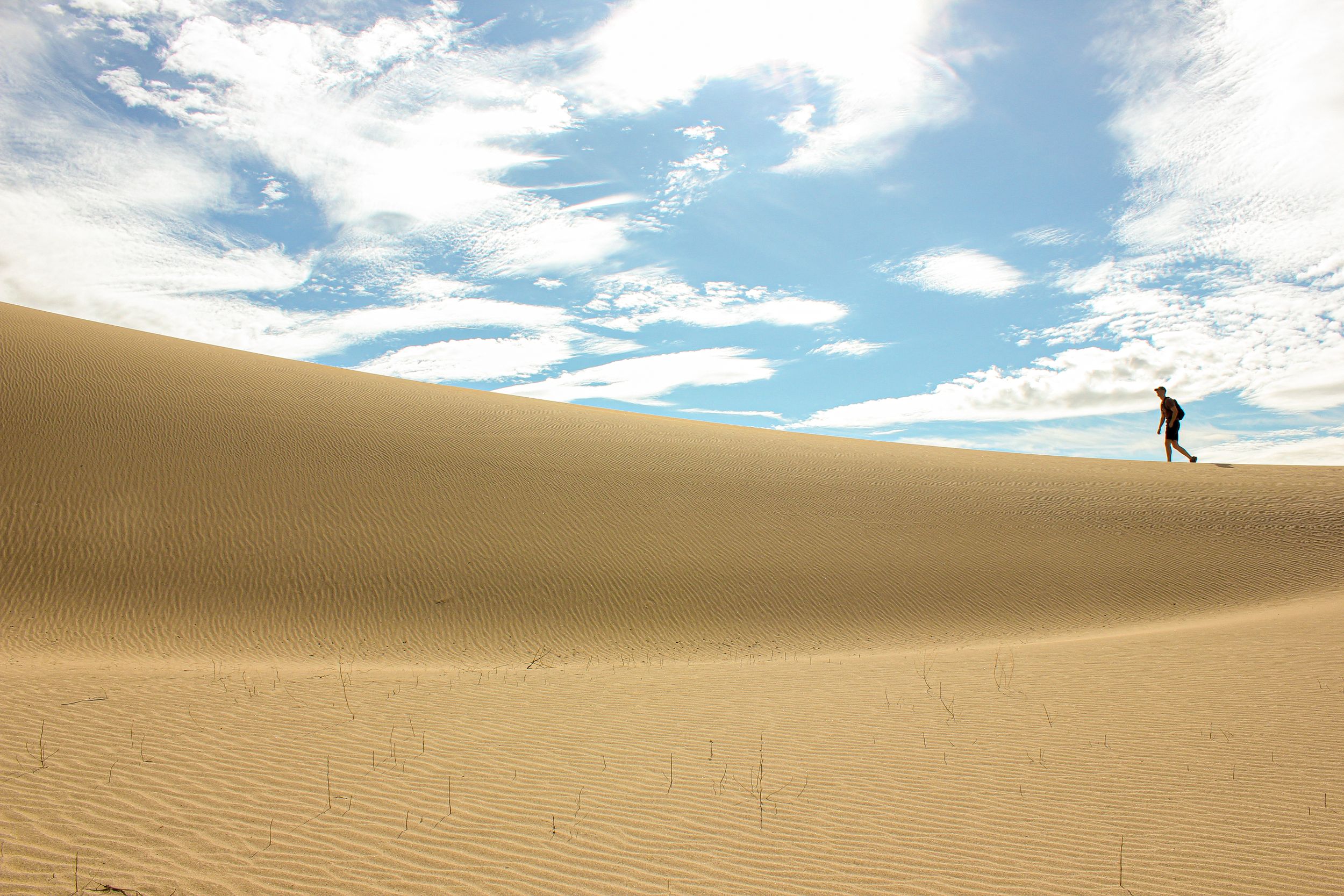 A hiker climbing Ibex Sand dunes in Death Valley National Park. Yellow sand with blue sky and clouds. Landscape shot of sand gradients