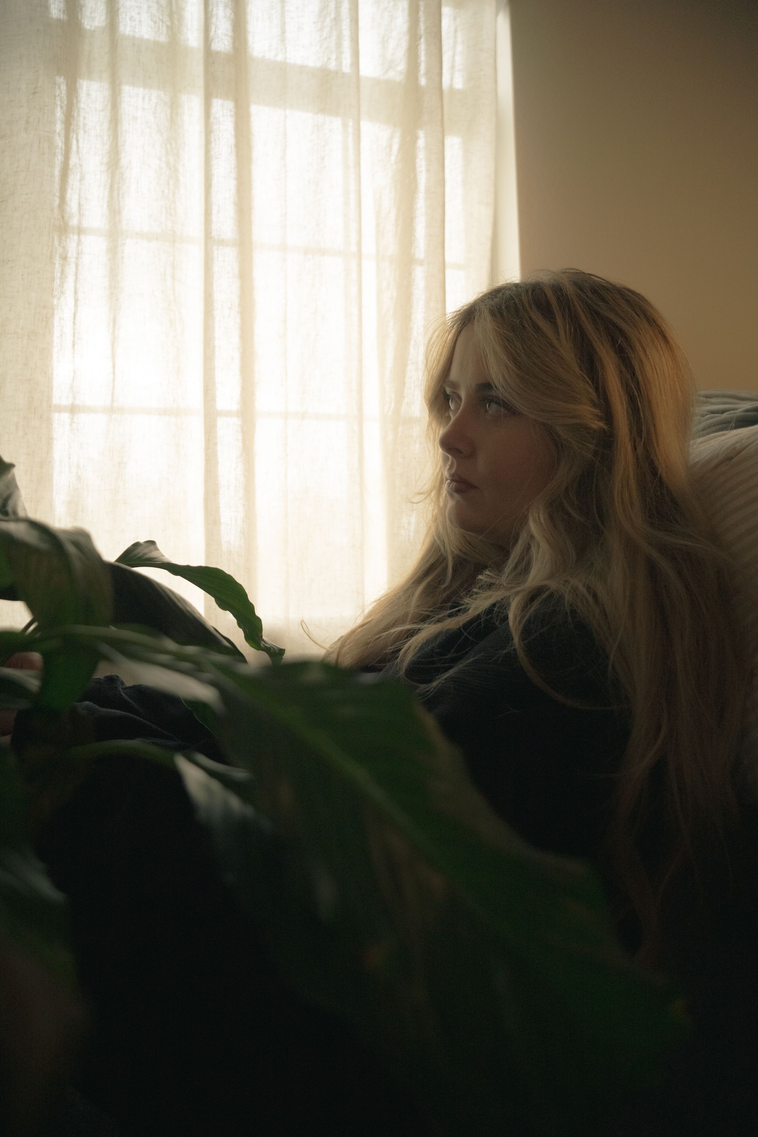 Dreamy indoor photography with houseplants and window light creating a peaceful mood.