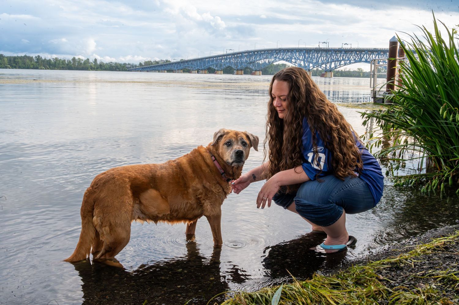 A wet golden retriever enjoys playing in a lake near the shoreline.