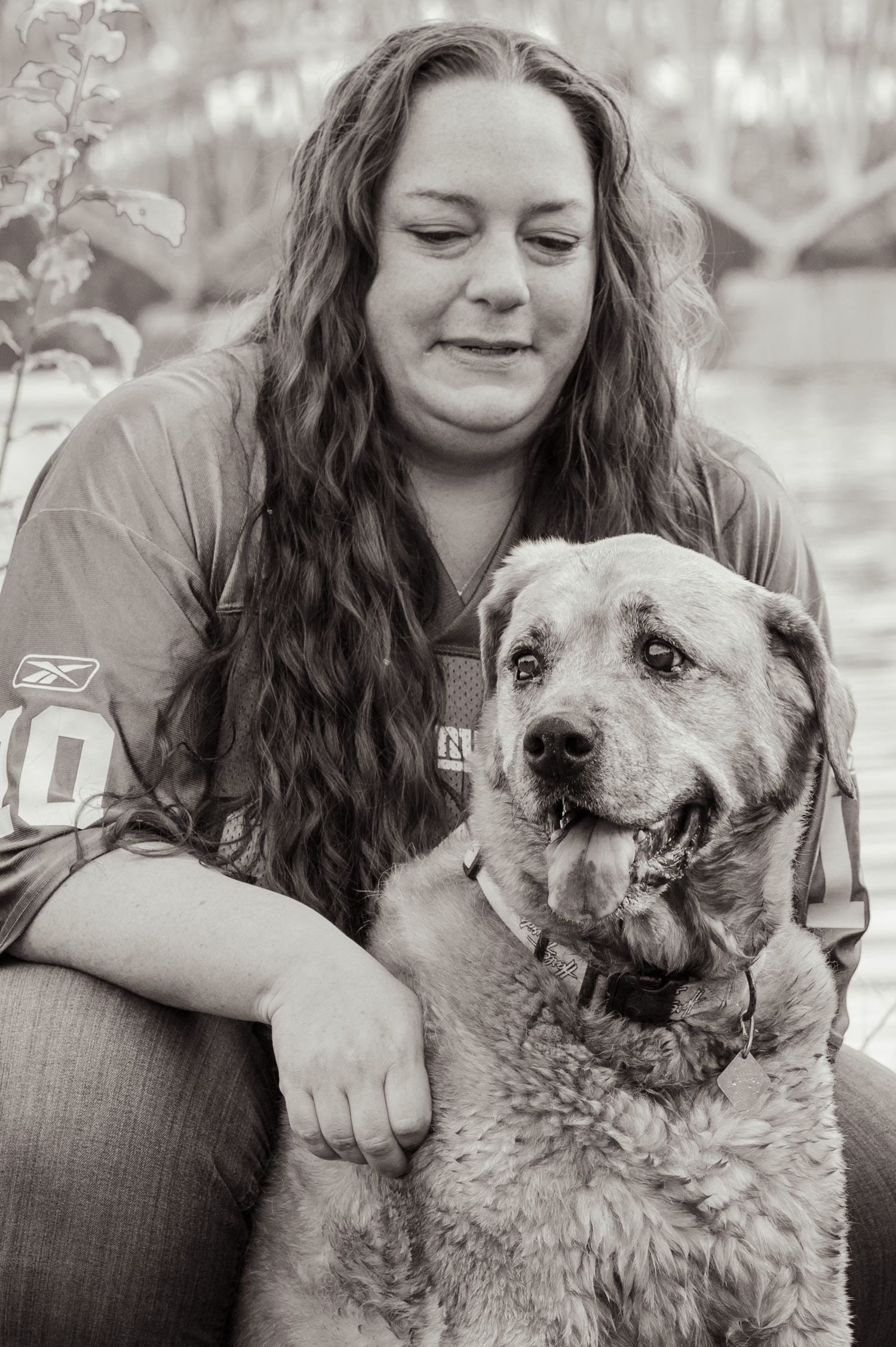 A senior Australian Cattle Dog relaxes outdoors in a black and white portrait.