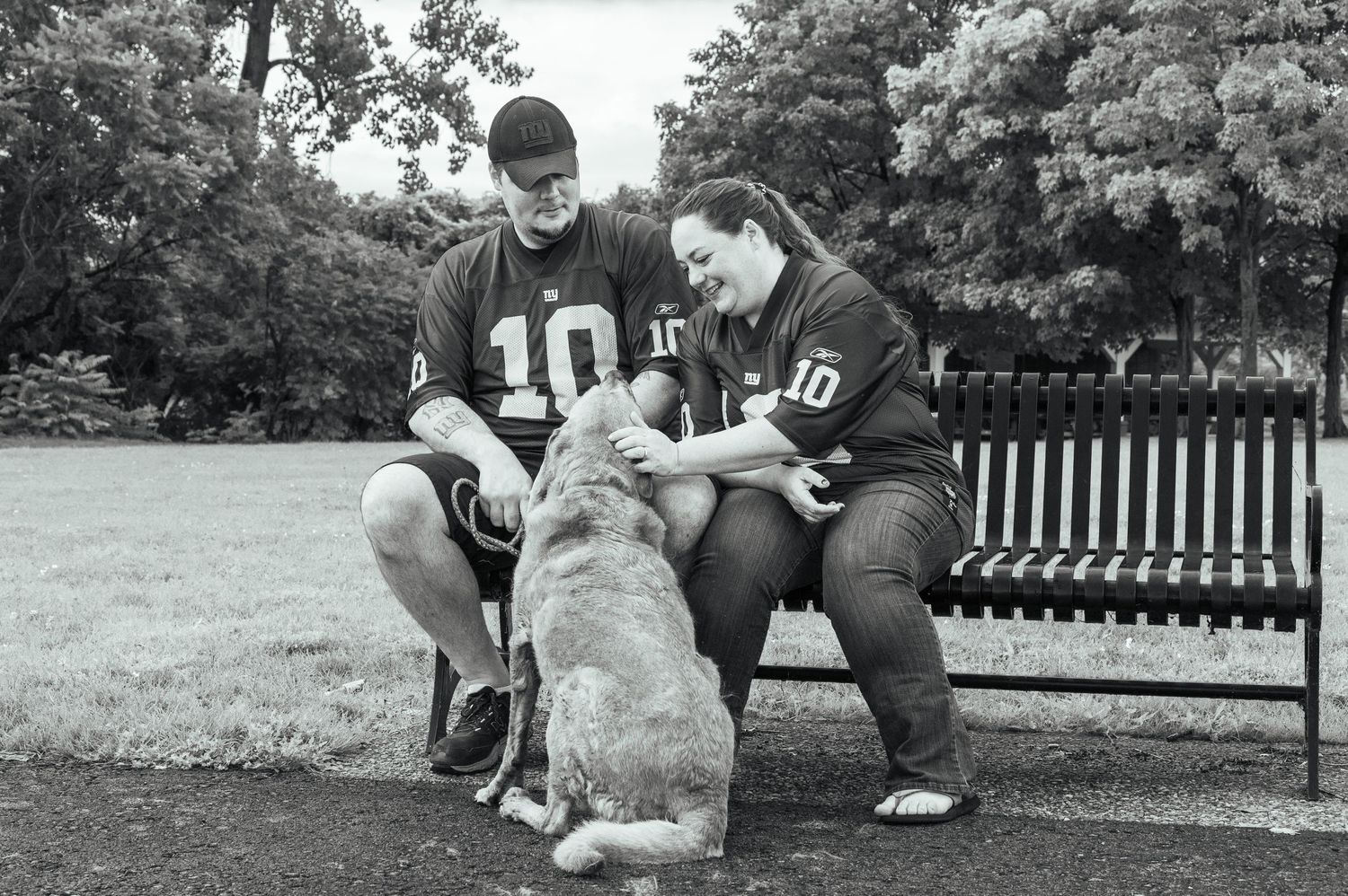 A dog sits on a wooden bench in a park setting.