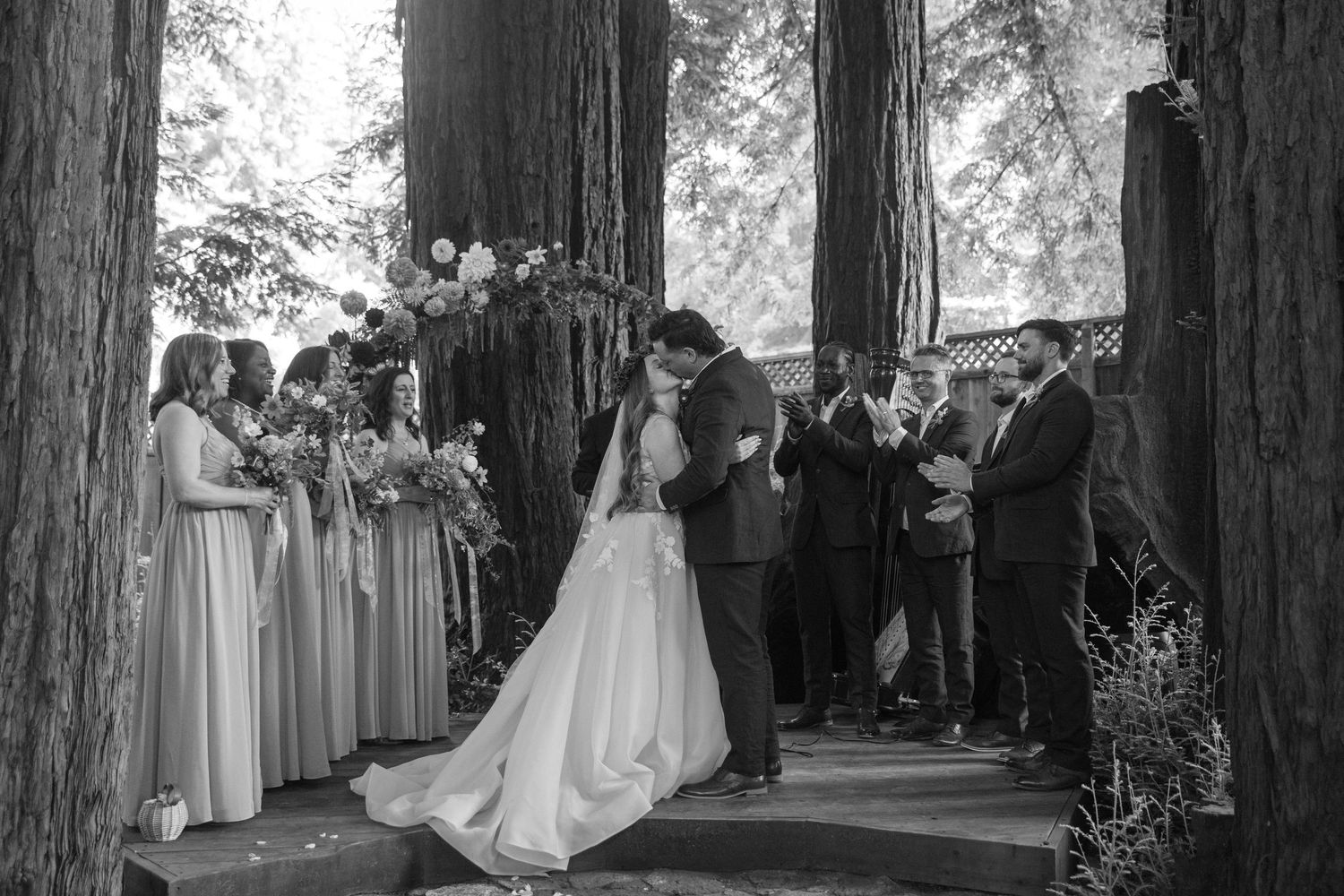 A wedding ceremony takes place in a majestic redwood forest with guests gathered among towering trees.